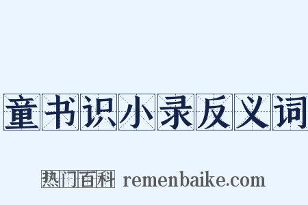童书识小录反义词是什么意思的图片